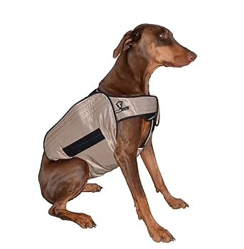 Amazon.com : TechKewl Phase Change Cooling Dog Coat, Large/X